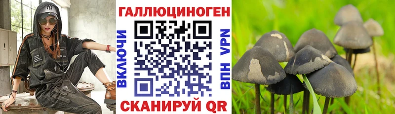 дарк нет Telegram  купить наркоту  Мариинский Посад  Галлюциногенные грибы Magic Shrooms 