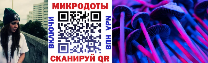 Галлюциногенные грибы Psilocybe Мариинский Посад